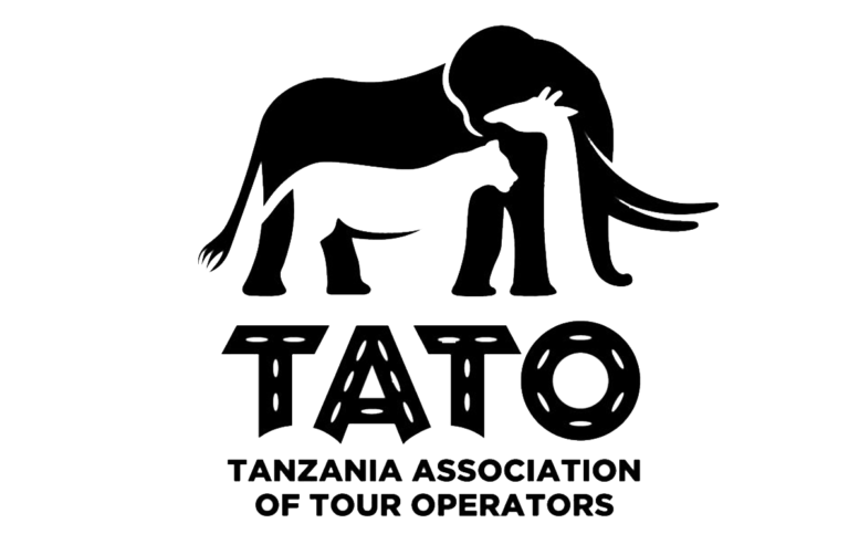 tato-vector-new-1