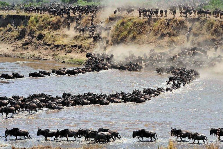 Rio mara Serengeti Ndutu