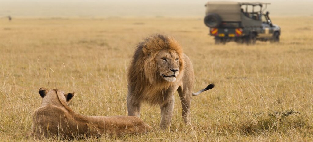 safari circuito sur Tanzania