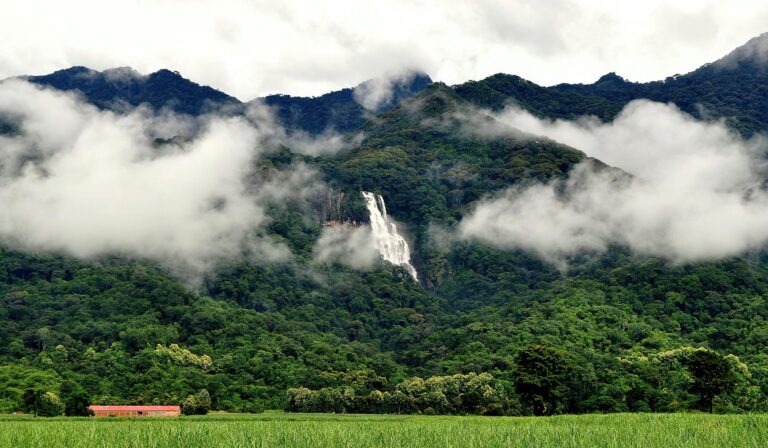 udzungwa